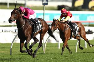 Stable Switch for Derby winner - news