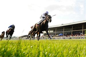 trading leather irish derby