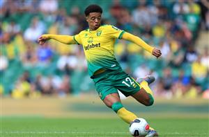 norwich city friendly