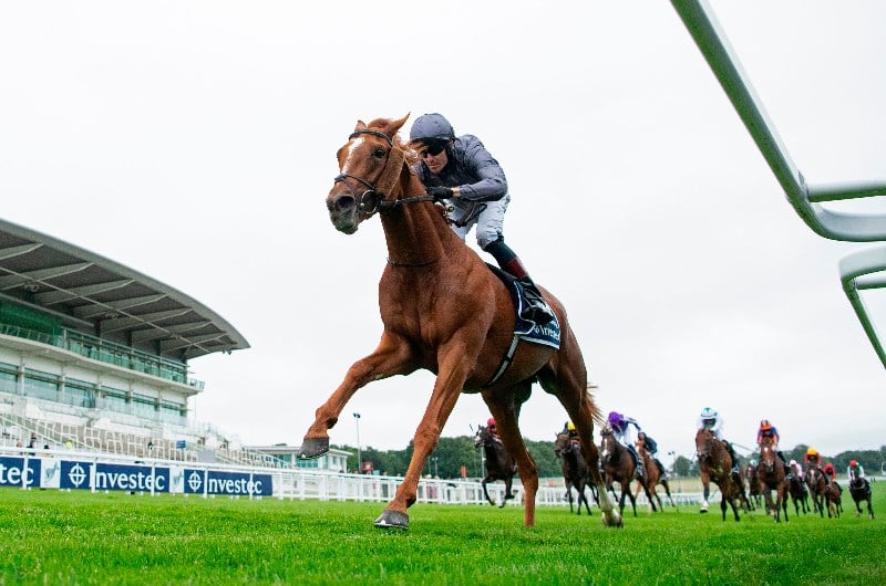 2020 Epsom Derby Result and Replay Serpentine wins at Epsom on