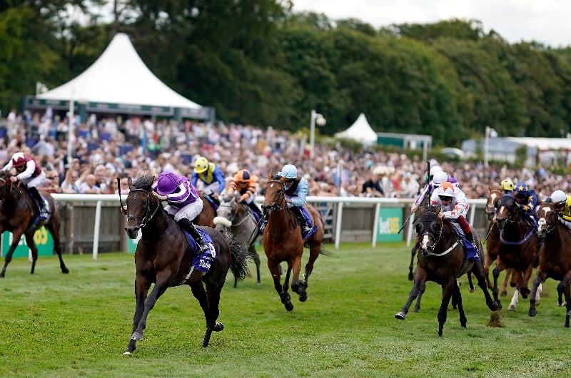 July Cup Live Stream How to watch the Newmarket race live online