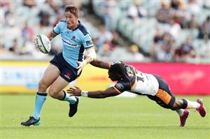 waratahs