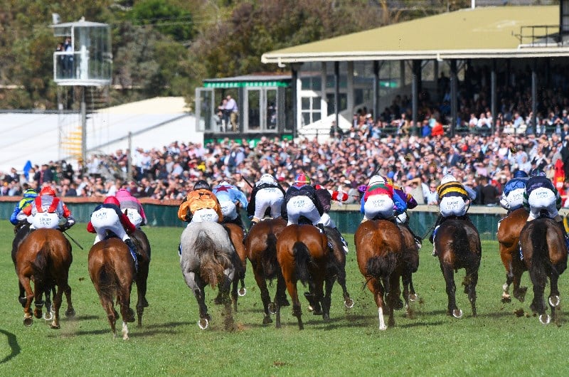 Warrnambool Races Tips, Best Bets & Betting Previews for Warrnambool
