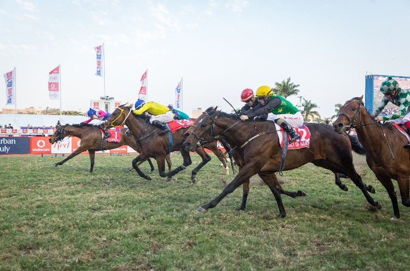 2023 Durban July Tips & Selections - Two each-way bets to win at Greyville