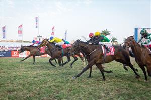 2020 Durban July Result and Replay - Belgarion rewards backers with superb Greyville triumph