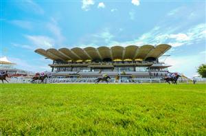 2020 Glorious Goodwood Day Two Tips - Tips for every race on Sussex Stakes day