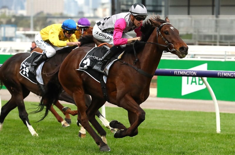 Melbourne Cup Tips Here's who you should bet on for today's 2020 Melbourne Cup
