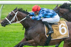 Winx Stakes Betting Odds - Funstar favourite to follow in the footsteps of Winx