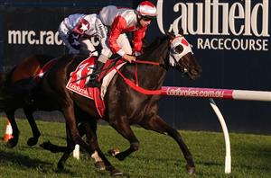 Memsie Stakes Betting Odds - Behemoth for Caulfield Group 1