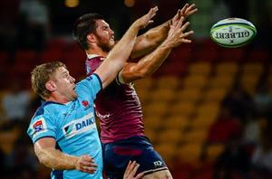 reds waratahs