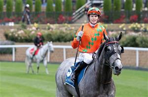 jye mcneil megabet
