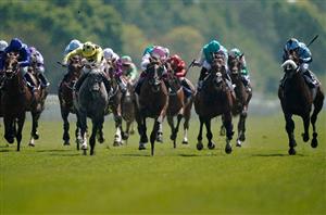 Ebor Festival Live Stream