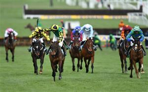 Stayers' Hurdle Live Stream - Watch the Cheltenham race online