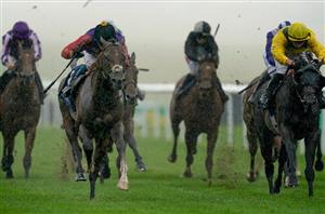 tactical newmarket