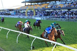Golden Rose Tips - 3 Horses To Follow for the 2020 Golden Rose