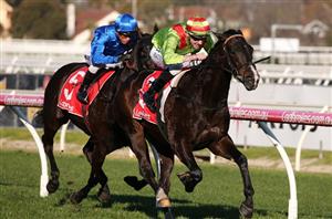 Memsie Stakes 2020 Barrier Draw & Final Field