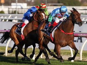 Memsie Stakes Tips - 3 Horses To Follow in the 2020 Memsie Stakes