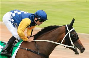 Shaun Guymer Megabet