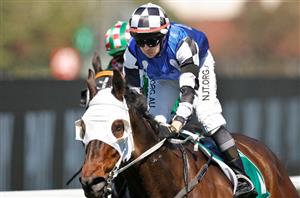 Andrew Gibbons megabet