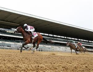 Kentucky Derby Live Stream