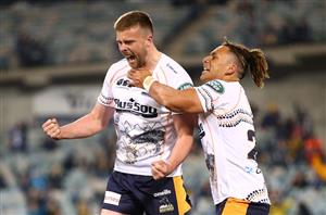 brumbies