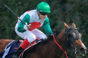 Craig Williams Megabet