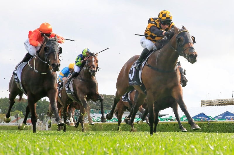 Big Bets Results from 19.09.2020