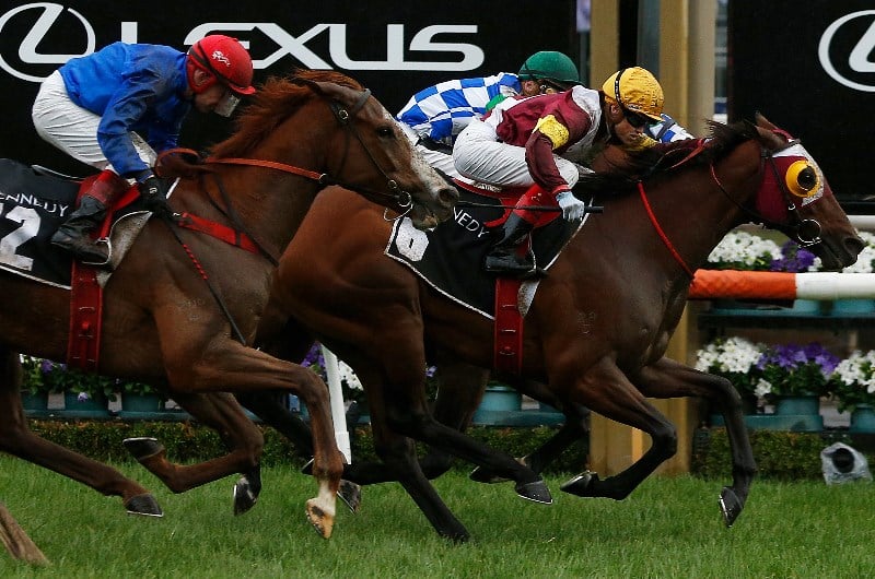Cantala Stakes Tips
