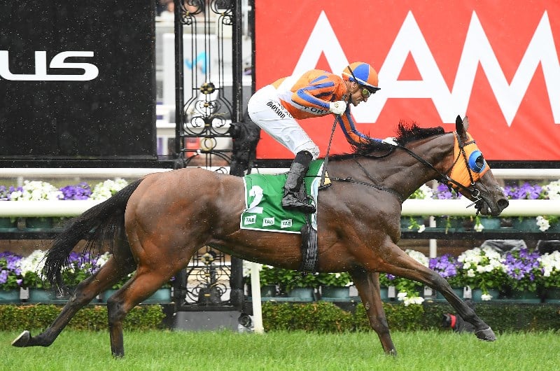 Empire Rose Stakes Tips