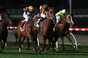 Moir Stakes 2020 Barrier Draw & Final Field