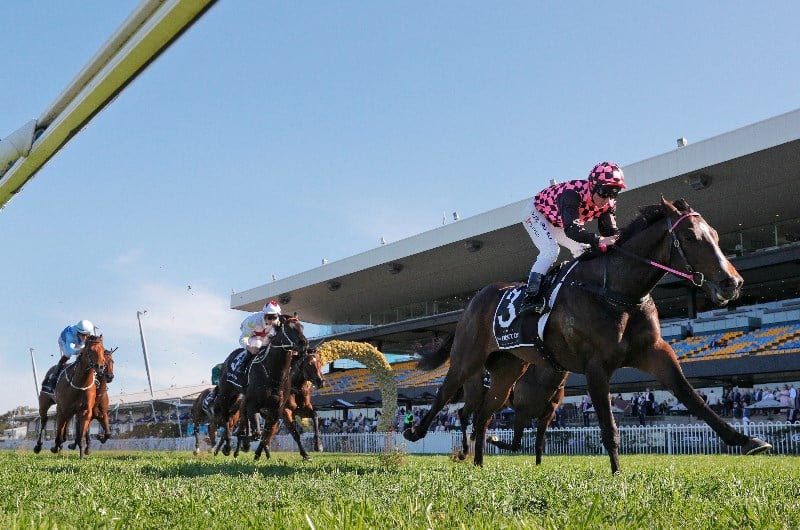 Big Bets for 26.09.2020
