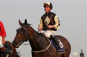 Blaike McDougall Megabet