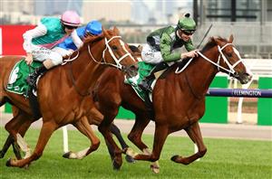 Turnbull Stakes 2020 Barrier Draw & Final Field