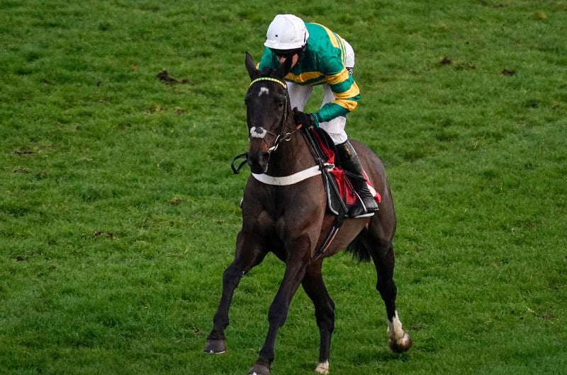 2021 Supreme Novices Hurdle Tips Three Horses To Follow 
