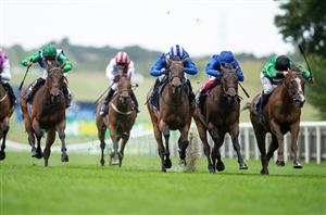 Sun Chariot Stakes Live Stream