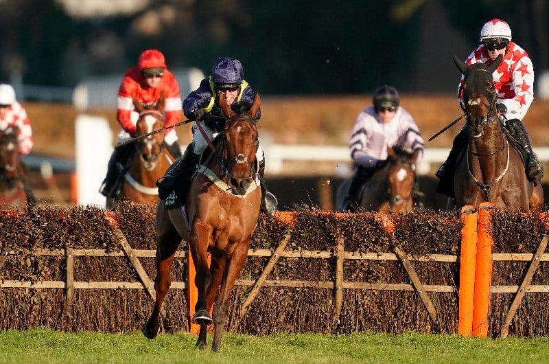 fiddlerontheroof horse odds