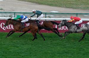 one master longchamp