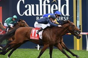 Caulfield Stakes Betting Odds - Russian Camelot odds-on to deliver