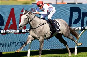 Spring Champion Stakes Betting Odds - Only Two Runners in Single Figures