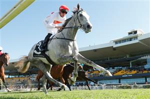 Spring Champion Stakes 2020 Barrier Draw & Final Field