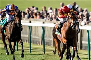 2020 Fillies’ Mile Tips - Irish raider looks Pretty appealing in Newmarket's Friday feature
