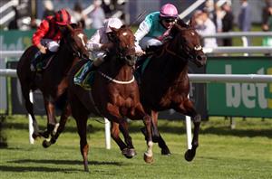 ITV Racing Tips - Every race covered at Newmarket, York and Chepstow on Friday