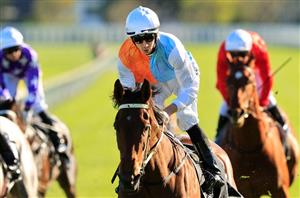 Spring Champion Stakes Day 2020 - Pictures & Highlights