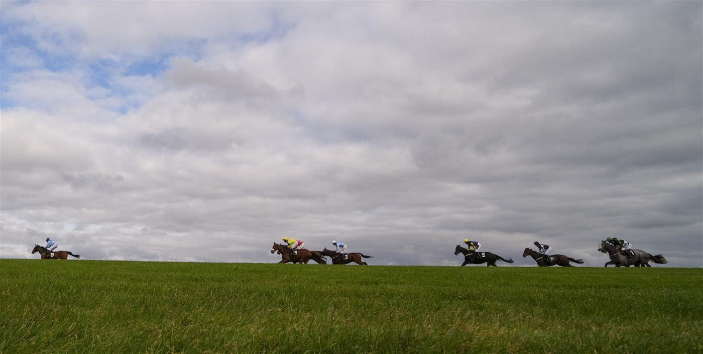Racing pictures Wincanton racecourse on Thursday 15th October