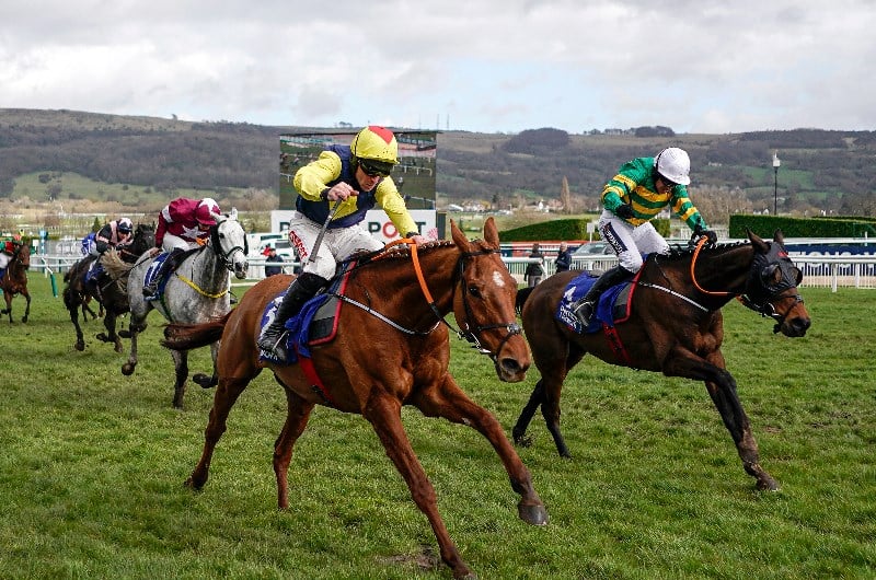 2021 Stayers' Hurdle Tips Three Horses To Follow