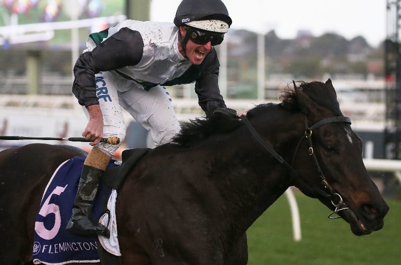 Manikato Stakes Night Tips
