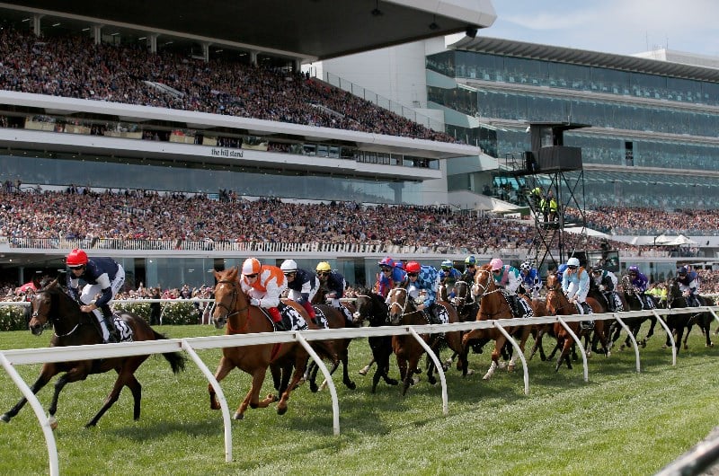 2020 Melbourne Cup RunnerByRunner Guide Assessing the chances of