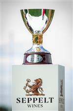 MELBOURNE, AUSTRALIA - OCTOBER 27: The trophy for the Seppelt Stakes is seen during the Melbourne Cup Carnival launch at Flemington Racecourse on October 27, 2020 in Melbourne, Australia. (Photo by Darrian Traynor/Getty Images)