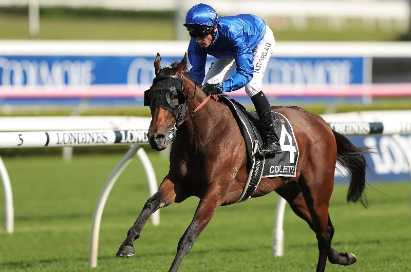 Big Bets for 31.20.2020