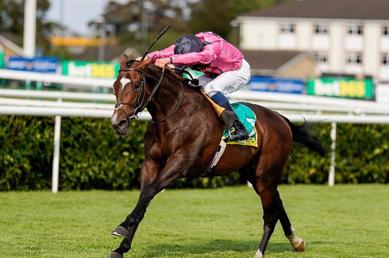 Melbourne Cup Tips, Free Betting Preview and Best Bets for the 2021 Melbourne Cup